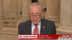 Schumer Caves to Republican 'Bastards'