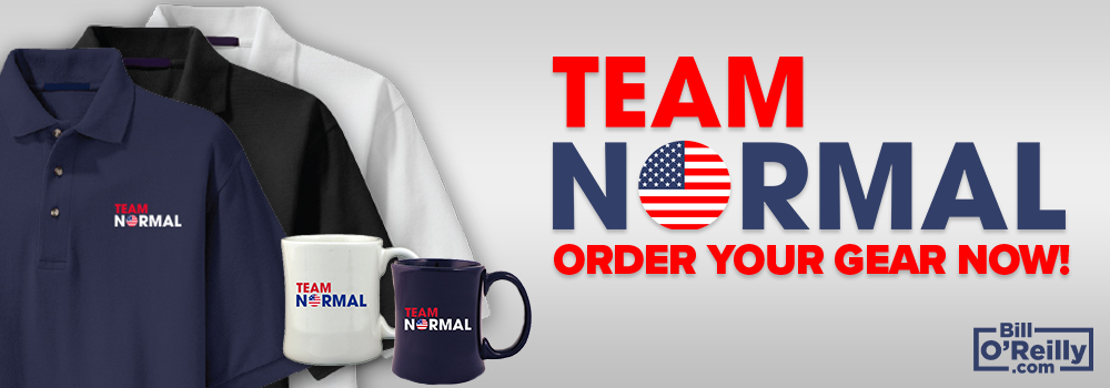 Team Normal: Order Your Gear Today