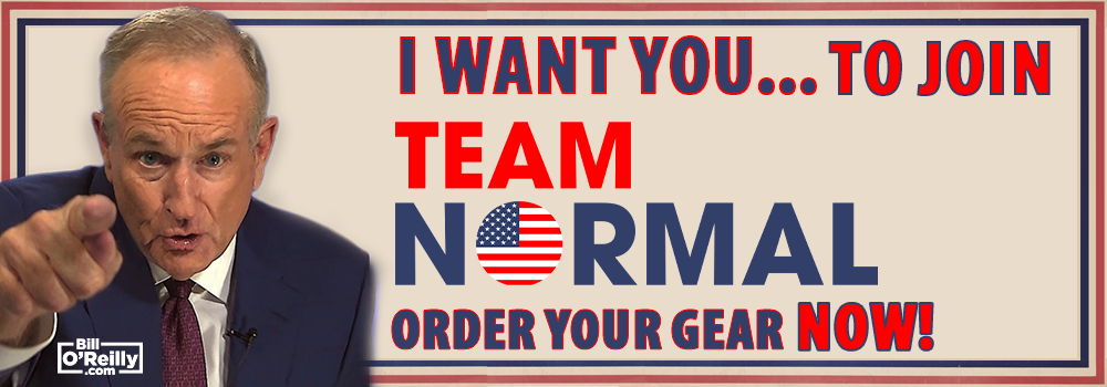 Team Normal: I Want You to Join Team Normal